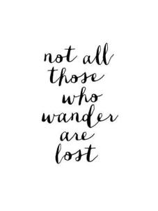 brett-wilson-not-all-those-who-wander-are-lost_a-G-13277429-0